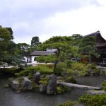 DSC_0422.jpg DSC_0422.jpg