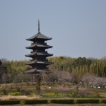 DSC_0586-001 DSC_0586-001