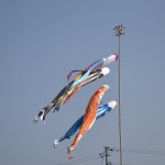 DSC_0590-001 DSC_0590-001