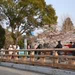 DSC_0595-001 DSC_0595-001