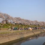 DSC_0597-001 DSC_0597-001