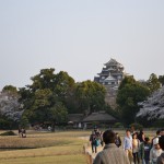 DSC_0600-001 DSC_0600-001