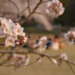 DSC_0643-001 DSC_0643-001