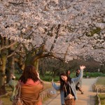 DSC_0656-001 DSC_0656-001