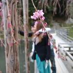 DSC_0668-001 DSC_0668-001