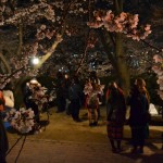 DSC_0682-001 DSC_0682-001