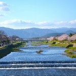 DSC_0061_2 DSC_0061_2